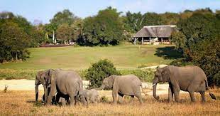 Sabie sands 4